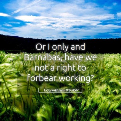 Picture 05 - 1 Corinthians 9:6 ASV - Or I only and Barnabas, have we not a right to - Bible Verse Picture