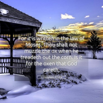 Picture 05 - 1 Corinthians 9:9 ASV - For it is written in the law of Moses, Thou shalt - Bible Verse Picture