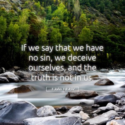 Picture 05 - 1 John 1:8 ASV - If we say that we have no sin, we deceive - Bible Verse Picture