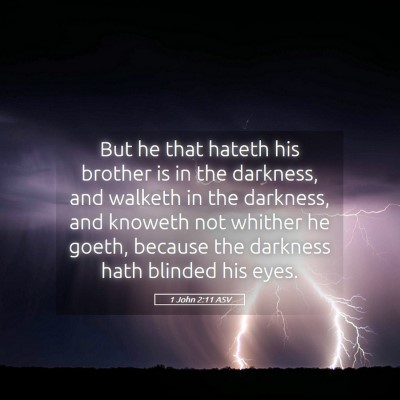 Picture 05 - 1 John 2:11 ASV - But he that hateth his brother is in the - Bible Verse Picture