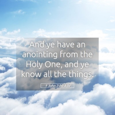 Picture 05 - 1 John 2:20 ASV - And ye have an anointing from the Holy One, and - Bible Verse Picture