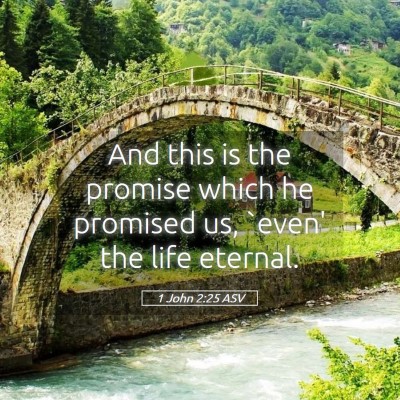 Picture 05 - 1 John 2:25 ASV - And this is the promise which he promised us, - Bible Verse Picture