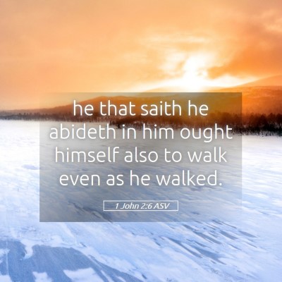 Picture 05 - 1 John 2:6 ASV - he that saith he abideth in him ought himself - Bible Verse Picture