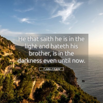 Picture 05 - 1 John 2:9 ASV - He that saith he is in the light and hateth his - Bible Verse Picture