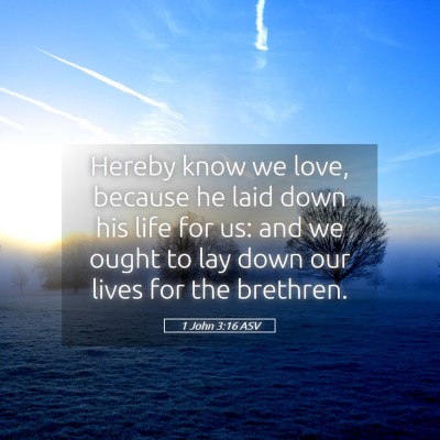 Picture 05 - 1 John 3:16 ASV - Hereby know we love, because he laid down his - Bible Verse Picture