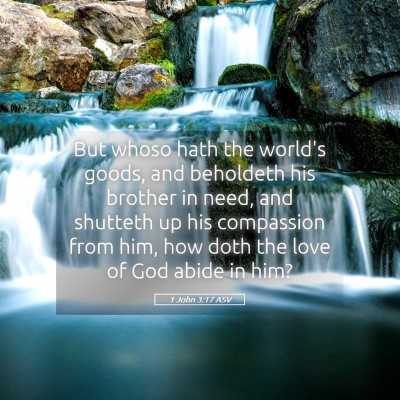 Picture 05 - 1 John 3:17 ASV - But whoso hath the world's goods, and beholdeth - Bible Verse Picture