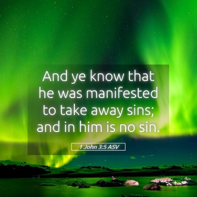 Picture 05 - 1 John 3:5 ASV - And ye know that he was manifested to take away - Bible Verse Picture