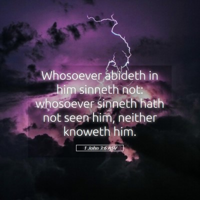 Picture 05 - 1 John 3:6 ASV - Whosoever abideth in him sinneth not: whosoever - Bible Verse Picture