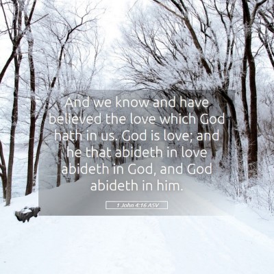 Picture 05 - 1 John 4:16 ASV - And we know and have believed the love which God - Bible Verse Picture