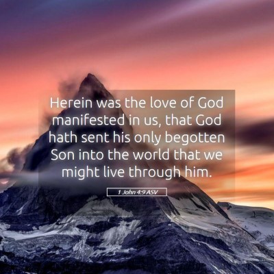 Picture 05 - 1 John 4:9 ASV - Herein was the love of God manifested in us, that - Bible Verse Picture