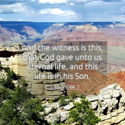 Picture 05 - 1 John 5:11 ASV - And the witness is this, that God gave unto us - Bible Verse Picture