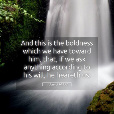 Picture 05 - 1 John 5:14 ASV - And this is the boldness which we have toward - Bible Verse Picture