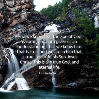 Picture 05 - 1 John 5:20 ASV - And we know that the Son of God is come, and hath - Bible Verse Picture