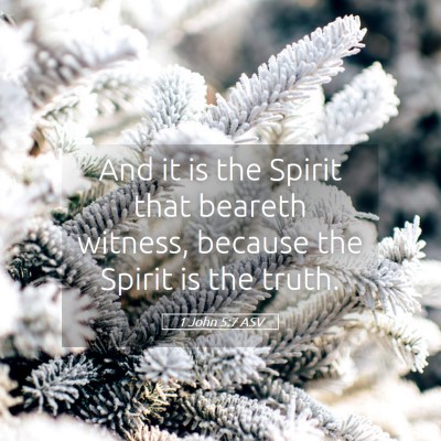 Picture 05 - 1 John 5:7 ASV - And it is the Spirit that beareth witness, - Bible Verse Picture