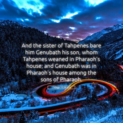 Picture 05 - 1 Kings 11:20 ASV - And the sister of Tahpenes bare him Genubath his - Bible Verse Picture