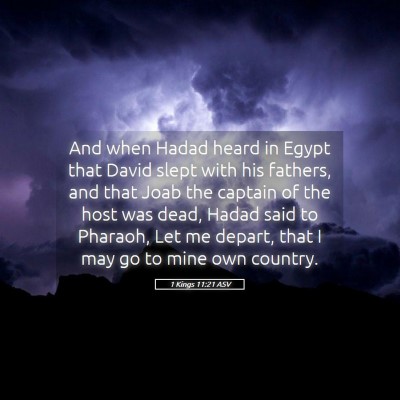 Picture 05 - 1 Kings 11:21 ASV - And when Hadad heard in Egypt that David slept - Bible Verse Picture