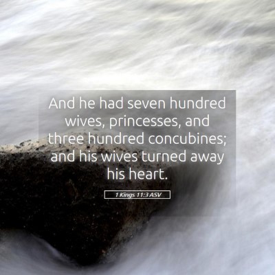 Picture 05 - 1 Kings 11:3 ASV - And he had seven hundred wives, princesses, and - Bible Verse Picture