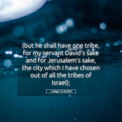 Picture 05 - 1 Kings 11:32 ASV - (but he shall have one tribe, for my servant - Bible Verse Picture