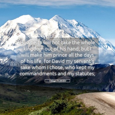 Picture 05 - 1 Kings 11:34 ASV - Howbeit I will not take the whole kingdom out of - Bible Verse Picture