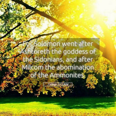 Picture 05 - 1 Kings 11:5 ASV - For Solomon went after Ashtoreth the goddess of - Bible Verse Picture