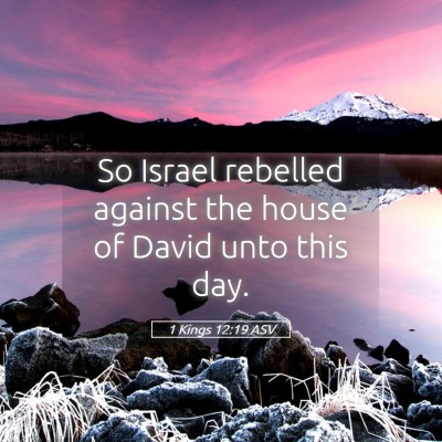 Picture 05 - 1 Kings 12:19 ASV - So Israel rebelled against the house of David - Bible Verse Picture