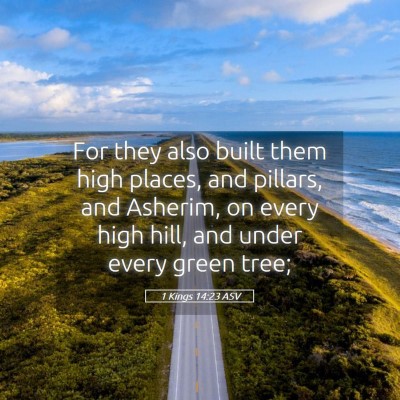 Picture 05 - 1 Kings 14:23 ASV - For they also built them high places, and - Bible Verse Picture
