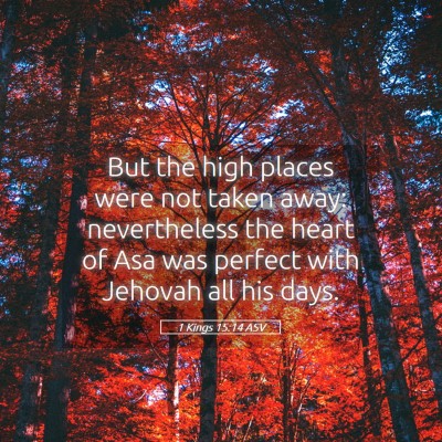 Picture 05 - 1 Kings 15:14 ASV - But the high places were not taken away: - Bible Verse Picture