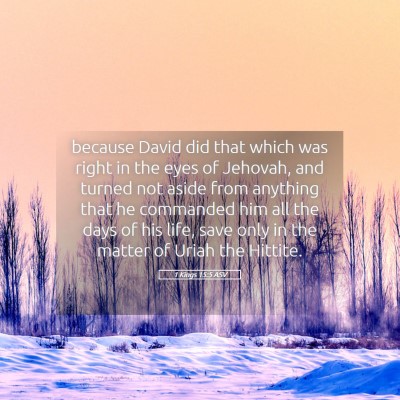 Picture 05 - 1 Kings 15:5 ASV - because David did that which was right in the - Bible Verse Picture