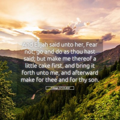 Picture 05 - 1 Kings 17:13 ASV - And Elijah said unto her, Fear not; go and do as - Bible Verse Picture