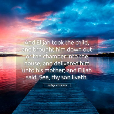 Picture 05 - 1 Kings 17:23 ASV - And Elijah took the child, and brought him down - Bible Verse Picture