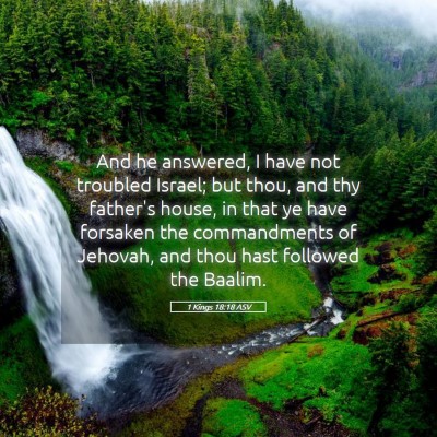Picture 05 - 1 Kings 18:18 ASV - And he answered, I have not troubled Israel; but - Bible Verse Picture