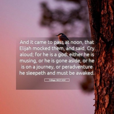 Picture 05 - 1 Kings 18:27 ASV - And it came to pass at noon, that Elijah mocked - Bible Verse Picture