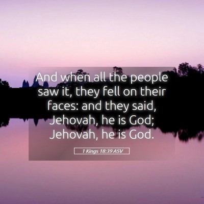 Picture 05 - 1 Kings 18:39 ASV - And when all the people saw it, they fell on - Bible Verse Picture