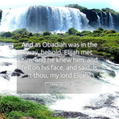 Picture 05 - 1 Kings 18:7 ASV - And as Obadiah was in the way, behold, Elijah met - Bible Verse Picture