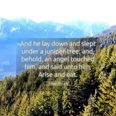 Picture 05 - 1 Kings 19:5 ASV - And he lay down and slept under a juniper-tree; - Bible Verse Picture