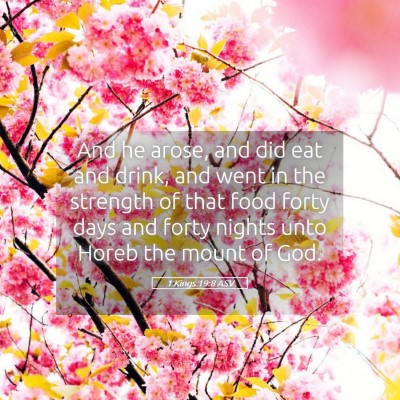 Picture 05 - 1 Kings 19:8 ASV - And he arose, and did eat and drink, and went in - Bible Verse Picture
