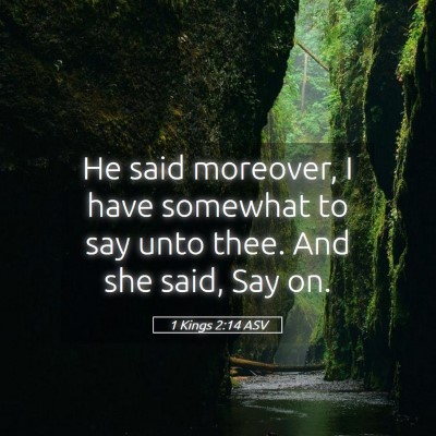 Picture 05 - 1 Kings 2:14 ASV - He said moreover, I have somewhat to say unto - Bible Verse Picture