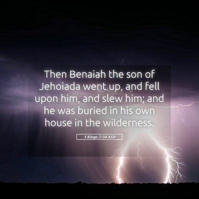 Picture 05 - 1 Kings 2:34 ASV - Then Benaiah the son of Jehoiada went up, and - Bible Verse Picture