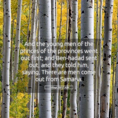 Picture 05 - 1 Kings 20:17 ASV - And the young men of the princes of the provinces - Bible Verse Picture