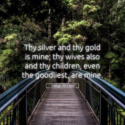 Picture 05 - 1 Kings 20:3 ASV - Thy silver and thy gold is mine; thy wives also - Bible Verse Picture