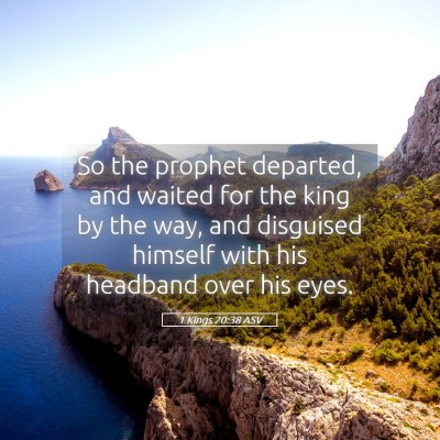 Picture 05 - 1 Kings 20:38 ASV - So the prophet departed, and waited for the king - Bible Verse Picture
