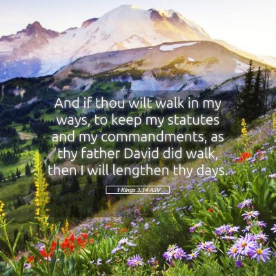 Picture 05 - 1 Kings 3:14 ASV - And if thou wilt walk in my ways, to keep my - Bible Verse Picture