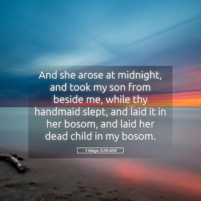 Picture 05 - 1 Kings 3:20 ASV - And she arose at midnight, and took my son from - Bible Verse Picture