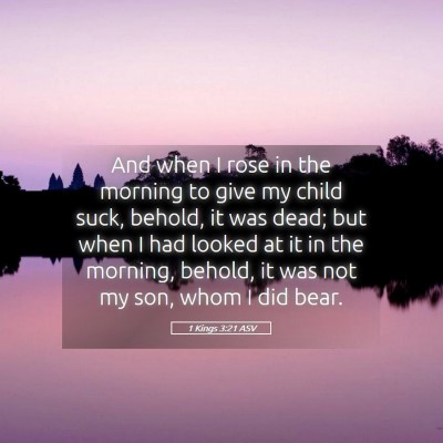 Picture 05 - 1 Kings 3:21 ASV - And when I rose in the morning to give my child - Bible Verse Picture