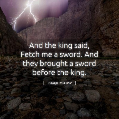 Picture 05 - 1 Kings 3:24 ASV - And the king said, Fetch me a sword. And they - Bible Verse Picture