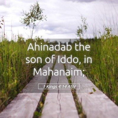 Picture 05 - 1 Kings 4:14 ASV - Ahinadab the son of Iddo, in - Bible Verse Picture