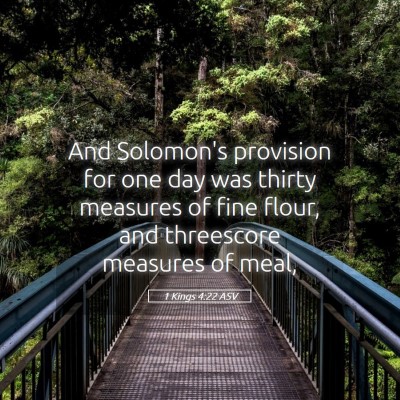 Picture 05 - 1 Kings 4:22 ASV - And Solomon's provision for one day was thirty - Bible Verse Picture