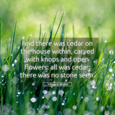 Picture 05 - 1 Kings 6:18 ASV - And there was cedar on the house within, carved - Bible Verse Picture
