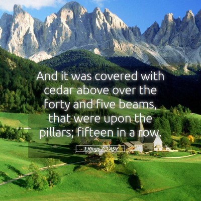 Picture 05 - 1 Kings 7:3 ASV - And it was covered with cedar above over the - Bible Verse Picture