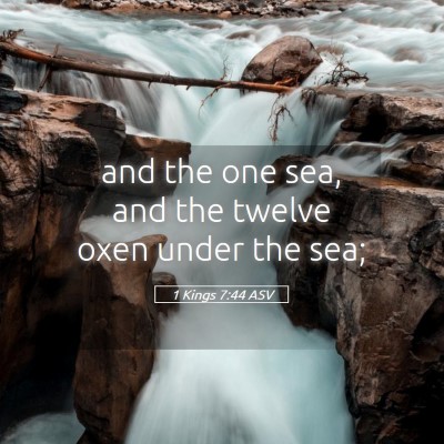 Picture 05 - 1 Kings 7:44 ASV - and the one sea, and the twelve oxen under the - Bible Verse Picture
